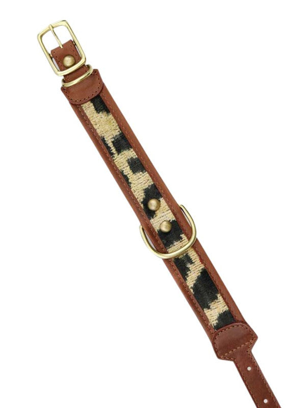 leopard-velvet-dog-collar-large-ZVCLLG-1901