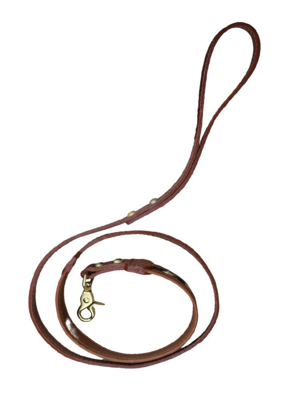 leopard-velvet-dog-leash-ZVSL00-1901-curled-full-leash